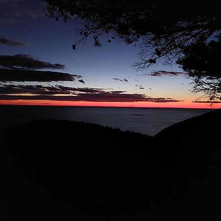 Apartmani Marija Mljet Sobra Zewnętrze zdjęcie